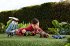 Jurassic World Gigantic Thrashers... - Bild 2