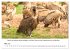 Die Geier sind los (Wandkalender 2026... - Bild 11
