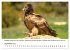Die Geier sind los (Wandkalender 2026... - Bild 15