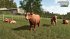 Landwirtschafts-Simulator 25: Highlands... - Bild 4