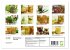 Fermentiertes Gemüse (Wandkalender... - Bild 6