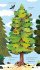 Once I Was a Tree - Bild 3
