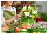 FLORISTIK - Im Reich der Blumen... - Bild 9