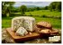 Käse aus aller Welt (hochwertiger... - Bild 2