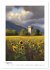 Turm-Romantik (Wandkalender 2026 DIN A3... - Bild 14
