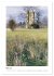 Turm-Romantik (Wandkalender 2026 DIN A3... - Bild 9