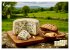 Käse aus aller Welt (Tischkalender... - Bild 3