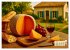 Käse aus aller Welt (Tischkalender... - Bild 8