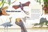 Dinosaurier. Frage- und Antwortbuch,... - Bild 4