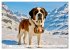 Typisch Schweiz (Wandkalender 2026 DIN... - Bild 7