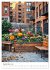 Peace in urban oases - Snapshots... - Bild 14