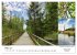 Schwabens Riede und Moore (Wandkalender... - Bild 9