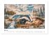 Tierisch wilde Waldbewohner... - Bild 11