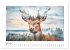 Tierisch wilde Waldbewohner... - Bild 12