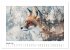 Tierisch wilde Waldbewohner... - Bild 7