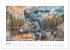 Tierisch wilde Waldbewohner... - Bild 13