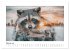 Tierisch wilde Waldbewohner... - Bild 7
