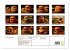 Leckere Burger (hochwertiger Premium... - Bild 5