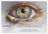 Nichtraucher Kalender - Rauchfrei... - Bild 15