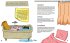 The Caveman Inside. Der Survival-Guide... - Bild 4