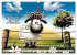 Bauernregeln, unsinnig und amüsant... - Bild 11