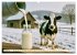 Milch und Milchprodukte (Wandkalender... - Bild 8