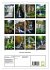 Faszination Wasserfälle (Wandkalender... - Bild 6