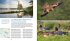100 Highlights Wildes Deutschland  ... - Bild 5
