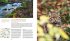 100 Highlights Wildes Deutschland  ... - Bild 6