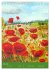 Coquelicots en peinture (Calendrier de... - Bild 11