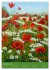 Coquelicots en peinture (Calendrier de... - Bild 5