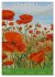 Coquelicots en peinture (Calendrier de... - Bild 9