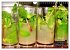 Mojito und mehr - CUBA COCKTAILS... - Bild 9