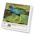 National Parks Page-A-Day(r) Calendar... - Bild 2