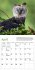 Audubon Eagles Mini Wall Calendar 2026 - Bild 3