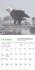 Audubon Eagles Mini Wall Calendar 2026 - Bild 4