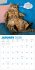 Chonkers Wall Calendar 2026 - Bild 4