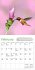 Audubon Hummingbirds Mini Wall Calendar... - Bild 2