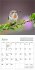 Audubon Hummingbirds Mini Wall Calendar... - Bild 3
