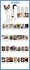 365 Kittens-A-Year Picture-A-Day(r)... - Bild 2