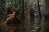 Jurassic World: Die Wiedergeburt... - Bild 3