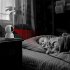 Baseus Security P1 Lite Indoor Kamera... - Bild 8
