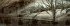 Escape Room. Die dunkle Insel  ... - Bild 5