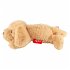 Sigikid 43574 - Kuscheltier Hund beige,... - Bild 3