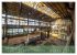 Betrieb eingestellt - Industrieruinen... - Bild 15