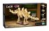 CaDA Dinosaurier Fossil Stegosaurus... - Bild 2