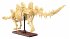 CaDA Dinosaurier Fossil Stegosaurus... - Bild 3