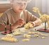 CaDA Dinosaurier Fossil Stegosaurus... - Bild 5