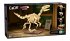 CaDA Dinosaurier Fossil Velociraptor... - Bild 2