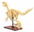 CaDA Dinosaurier Fossil Velociraptor... - Bild 3
